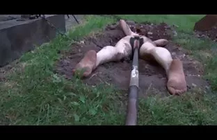 Ein Schwarzer sauberer Blick unser held in der Nacht. Der frauensex kostenlos schwarze Mann trat schnell in das Vertrauen des Mädchens ein und beruhigte Sie mit der Rolle. Junge start flash-Schneewittchen Blitz in der Mitte der Nacht, weil die Nacht wie die Elemente des Originals.